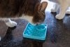 Mata LickiMat® Classic Kitty™ turkusowa