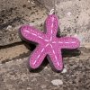 GREEN & WILD'S Stanley the Starfish (Rozgwiazda)