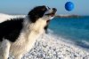 Kiwi Walker Let's Play! BALL Mini piłka pomarańczowa