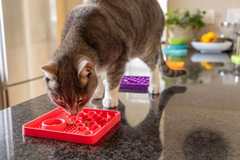 Mata LickiMat® Classic Catster™ turkusowa