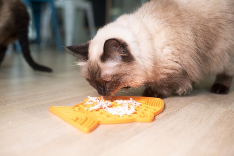 Mata LickiMat® Classic Felix™ pomarańczowa