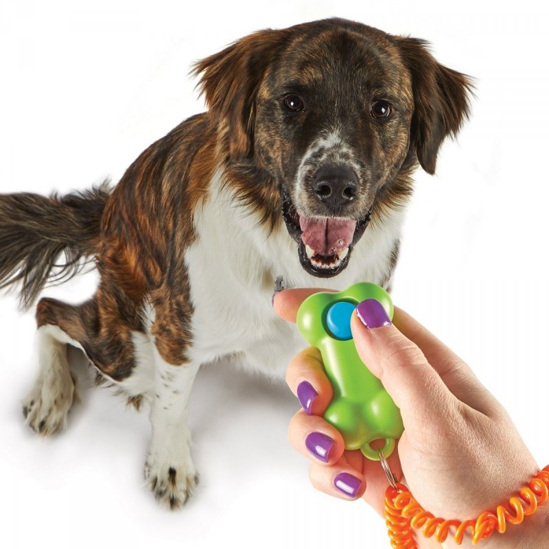 Brightkins Smarty Pooch Training Clicker KLIKER KOŚĆ