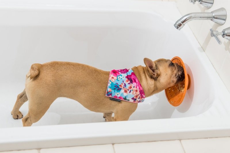 Mata LickiMat® Splash™ pomarańczowa