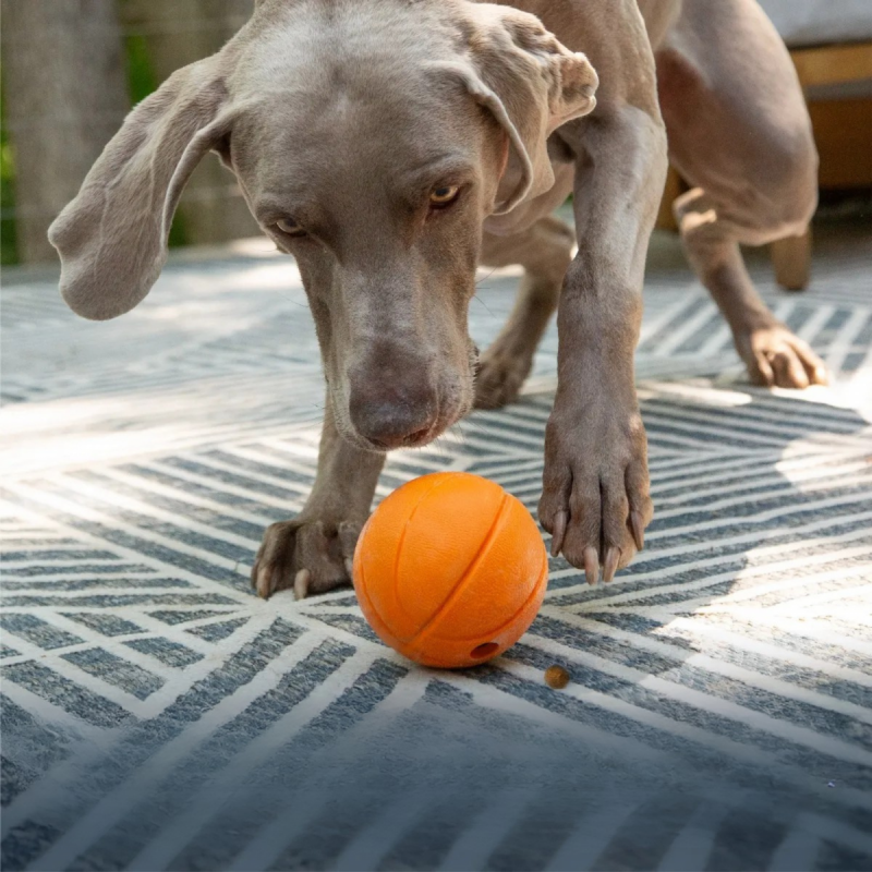 Brightkins Zabawka na przysmaki Basketball Treat Dispenser PIŁKA DO KOSZYKÓWKI 
