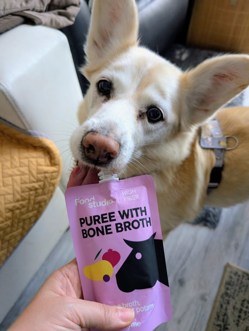 Food Studio Chefs PUREE dla psów WARZYWNO-OWOCOWE z marchewką, batatem, jabłkiem, żurawiną i tymiankiem 150ml