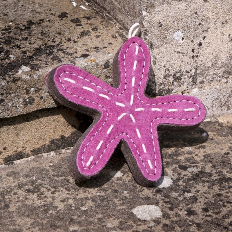 GREEN &amp; WILD'S Stanley the Starfish (Rozgwiazda)