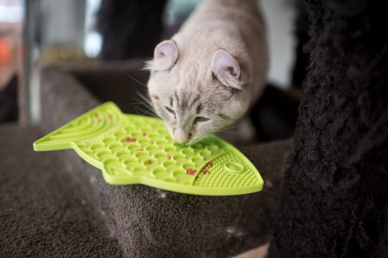 Mata LickiMat® Classic Felix™ różowa