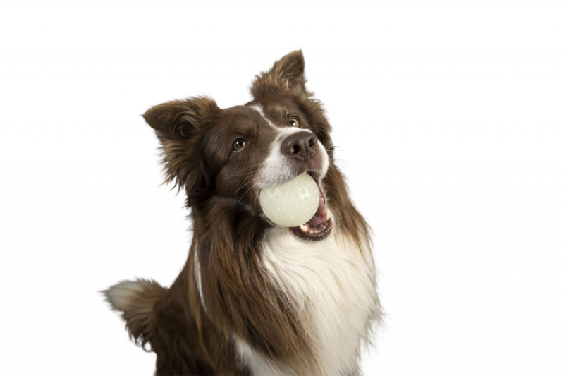 Kiwi Walker Let's Play! GLOW BALL Mini piłka