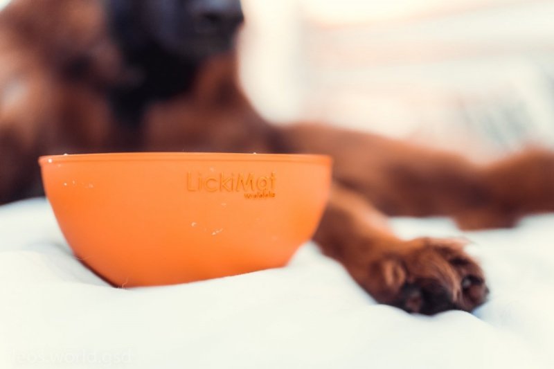 Mata LickiMat® Wobble™ turkusowa