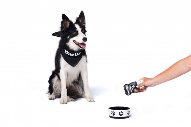 YOW UP! Zdrowe Stawy Jogurt dla psa z kurczakiem 115g