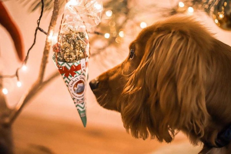 Cooka’s Cookies WOOFMAS BALLS BEEF Przysmaki z wołowiny 50g