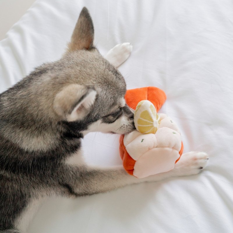 Pups &amp; Bubs GRILLED LOBSTER Grillowany Homar zabawka węchowa 