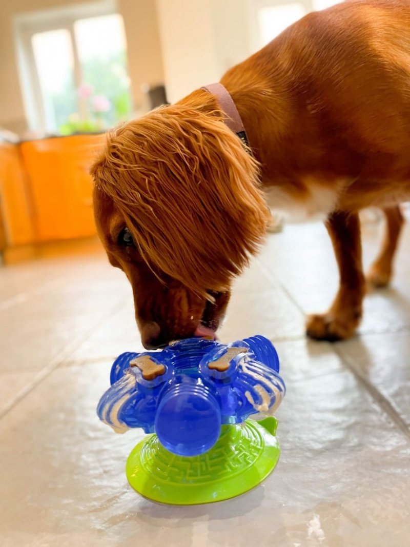 K9 Connectables BRAIN TEASER PRO Large
