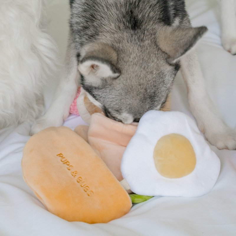 Pups &amp; Bubs PITA zabawka węchowa 