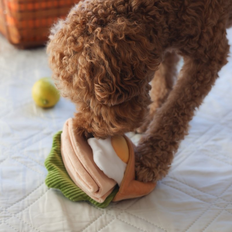 Pups &amp; Bubs PITA zabawka węchowa 