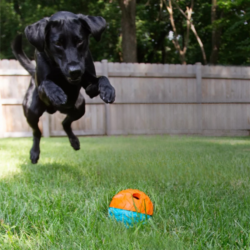 Brightkins Zabawka na przysmaki Small Textured Ball Treat Dispenser MAŁA TEKSTUROWANA KULA