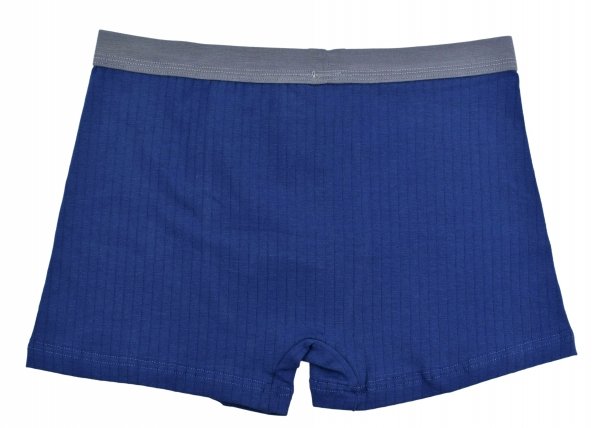 Chłopięce bokserki Aura.Via KIDS zostały zaprojektowane z myślą o wygodzie dzieci. Prążkowana dzianina Cotton Stretch oraz elastyczny pas sprawiają, że bielizna nie uciska i dobrze leży.