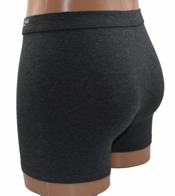 Bokserki Auravia FR2812 prezentują klasyczny design w odcieniu ciemnego melanżu. Naturalna bawełna w połączeniu z elastanem zapewnia doskonałe dopasowanie i komfort użytkowania przez cały dzień.