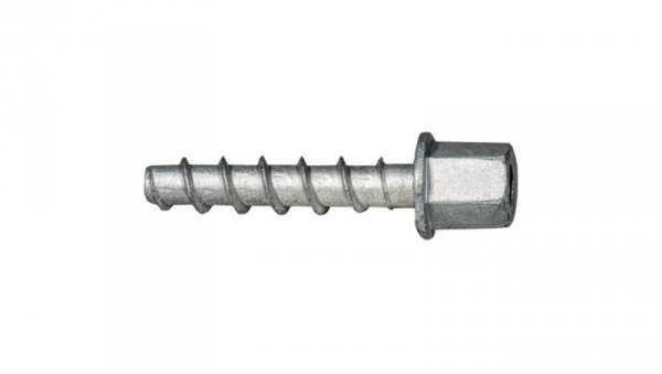 Wkręt do betonu BTS H 6x35mm z gwintem wewn. M6 /opak. = 150 szt./ (9ZG635M6BTSH) CELO