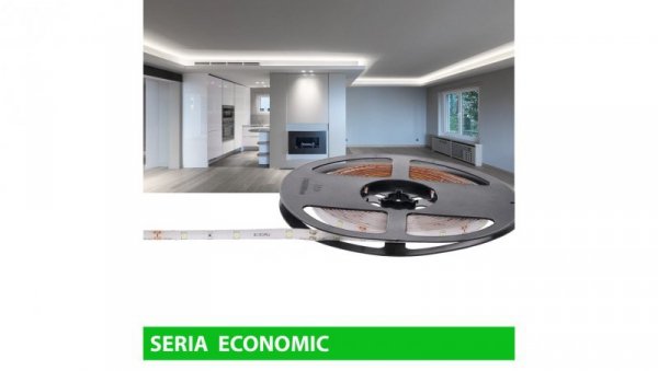 Taśma Economic IP63 12V 30led W 6000-7000K SMD2835 (5)