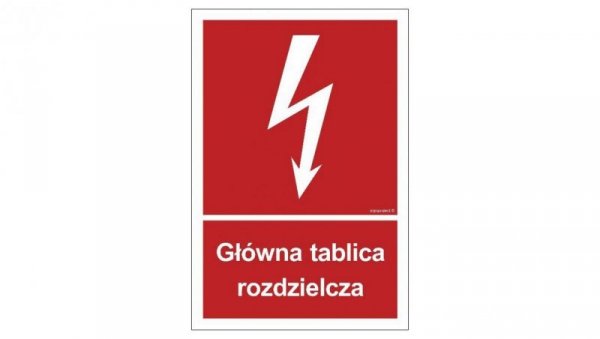 ZNAK - BC010 Główna tablica rozdzielcza 20 x 29,6 cm FS - Folia samoprzylepna foto.