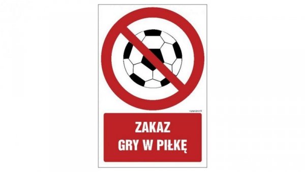 ZNAK - GC049 Zakaz gry w piłkę - arkusz 9 naklejek 5 x 7,5 cm FN - Folia samoprzylepna