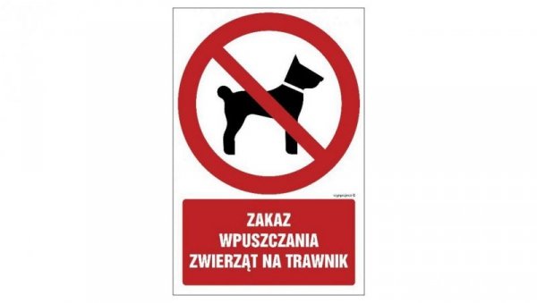 ZNAK - GC067 Zakaz wstępu z lodami 10 x 15 cm KS - Folia podłogowa foto.