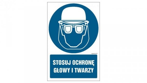 ZNAK - GL019 Stosuj ochronę głowy i twarzy 10 x 15 cm TS - Płyta TD foto.