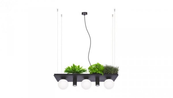 Lampa wisząca PLANT SHELF czarna 5555