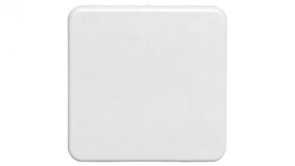 Berker IP44 Płytka czołowa gniazda z/u z pokrywą p/t bryzgoszczelne IP44 śnieżnobiały 39420409