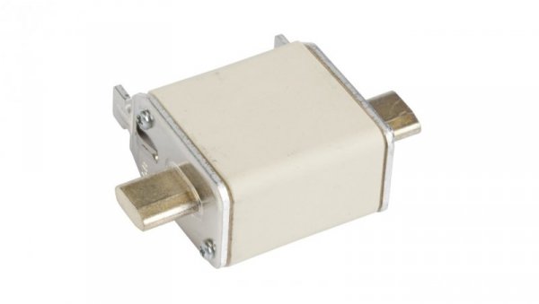 Wkładka bezpiecznikowa NH00 25A gF 500V 004114333