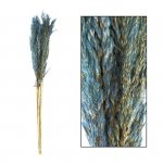 Trawa pampasowa ciemno niebieska 80 cm