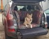 Mata samochodowa dla Psa do bagażnika Pofarbiony (realizacja Mitsubishi Outlander)