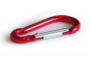 Sakiewka W PALMOWYM KLIMACIE