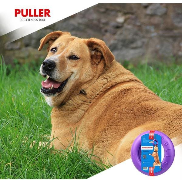 PULLER - dla psa - dog training device MAXI