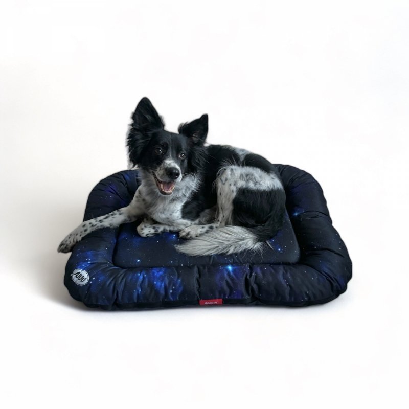 Legowisko dla Psa - Ponton GDZIEŚ W ODLEGŁEJ GALAKTYCE