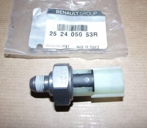 Neu Original 252405053R