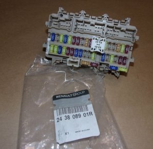 Original 243808901R