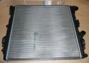 Original 8200240818