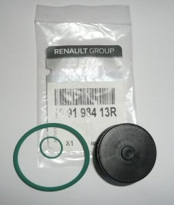 Original Gasfiltereinsatz für Renault Clio, Kangoo , 169198413R