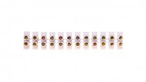 Listwa zaciskowa 12x2,5mm2 PS 2,5 19.2 /10szt./