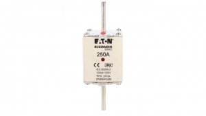 Wkładka bezpiecznikowa NH2 250A gL/gG 500V 250NHG2B