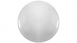 Plafoniera CAMEA LED EVO 18W 1800lm 840 fi300mm IK10 IP44 206474/E