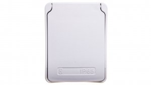 Gniazdo Kaedra 200/250V 10/16A 2P IP65 81140