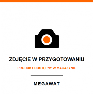 Konstrukcja Carport dwustanowiskowy ocynkowana czarna KONST/CARPORT CZ OCYNK