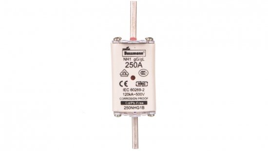Wkładka bezpiecznikowa NH1 250A gL/gG 500V 250NHG1B