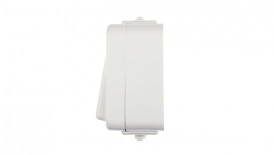 Cedar Łącznik jednobiegunowy hermetyczny IP44 10A biały WNt-100C WNT100C01