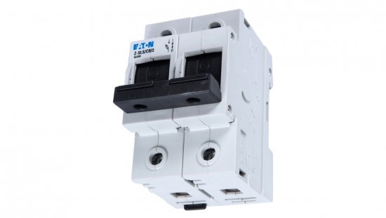 Rozłącznik bezpiecznikowy 2P 63A D02 Z-SLS/CB/2 248248