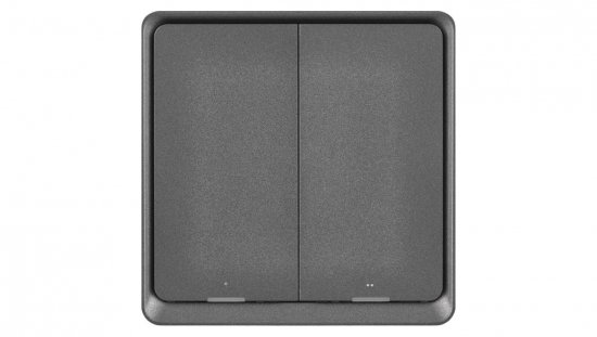 GoSmart Przenośny kontroler scenerii IP-2002ZB, ZigBee 3.0, dwuprzyciskowy H5015