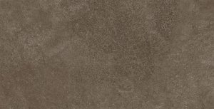 Domino Barbados Brown STR 30,8x60,8